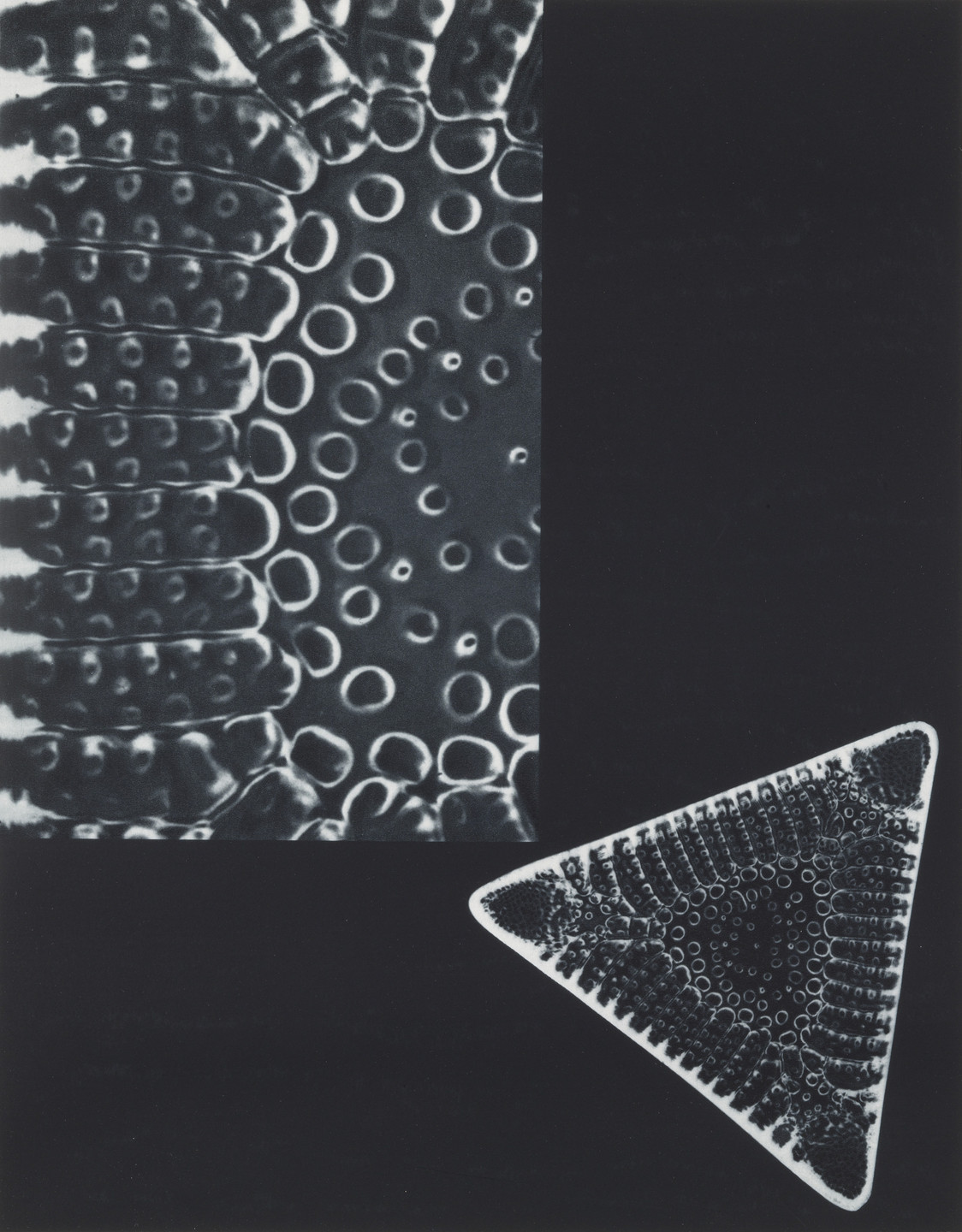 Laure Albin-Guillot. Diatomic Molecule. 1931