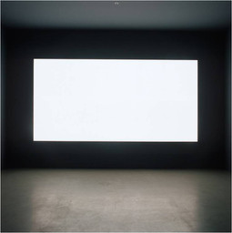 Alfredo Jaar. Alfredo Jaar. Lament of Images. 2002. 2002