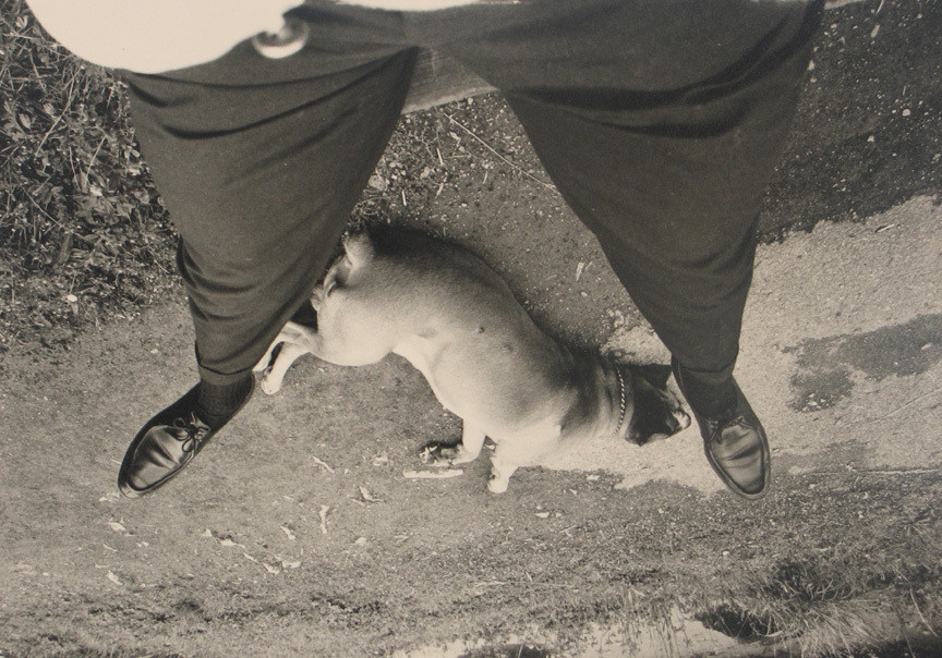 Unidentified photographer. Untitled. c. 1970