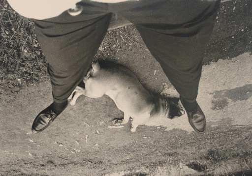Unidentified photographer. Untitled. c. 1970