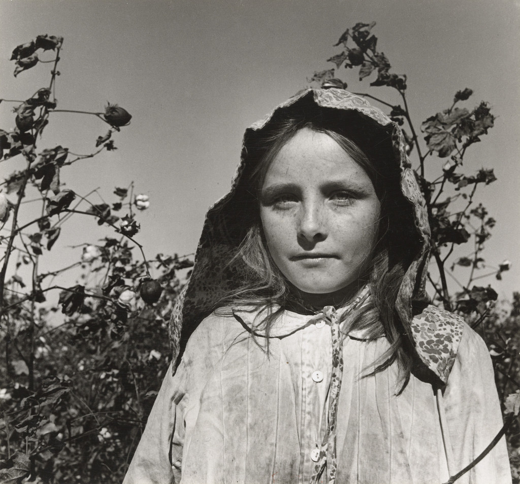 Young Migratory Cotton Picker, Casa Grande, Arizona