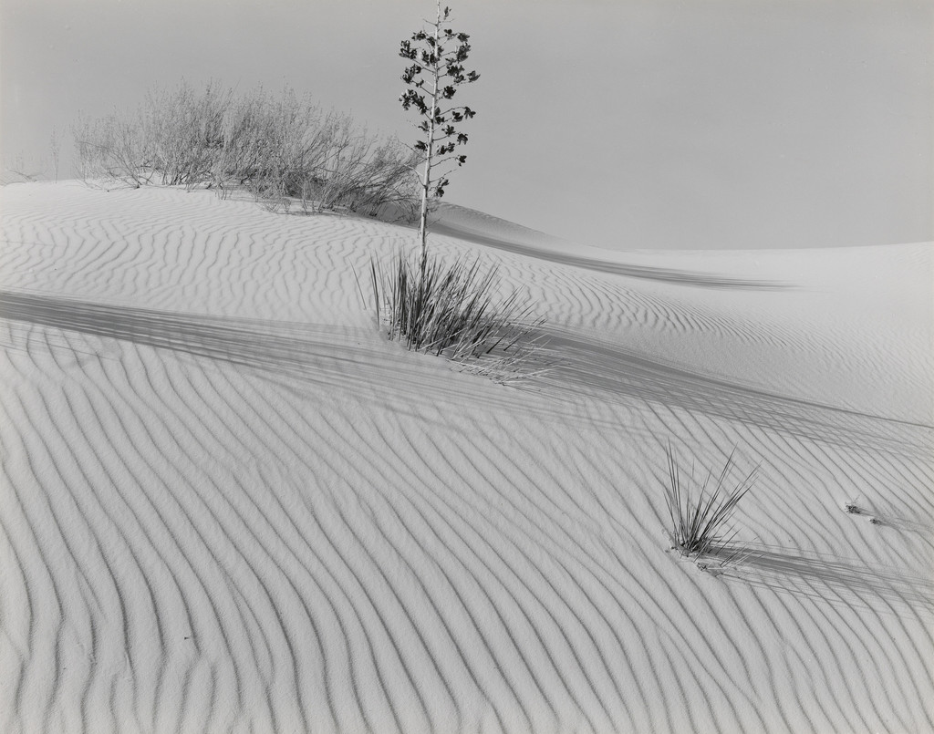 White Sands