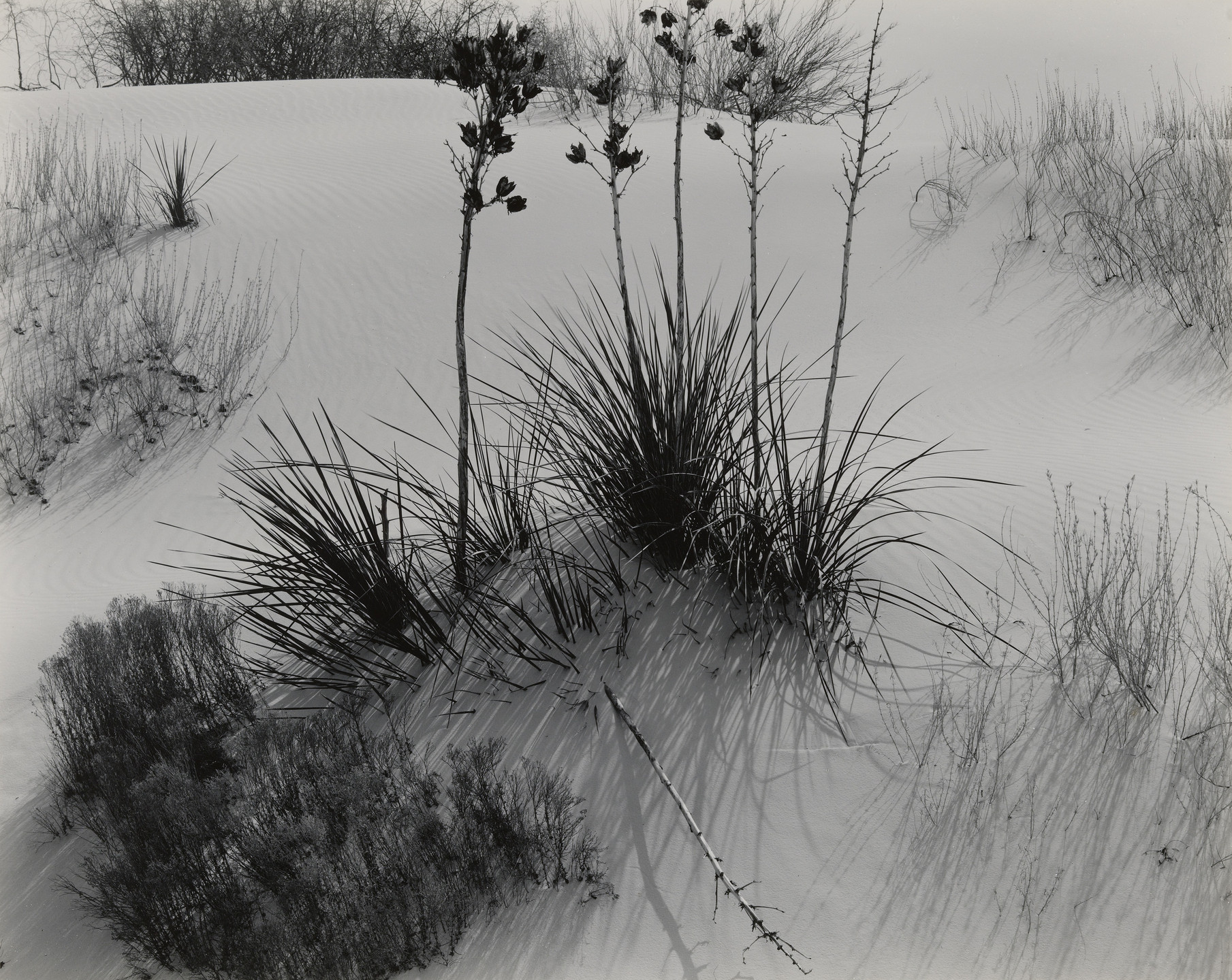 Brett Weston. White Sands. 1946