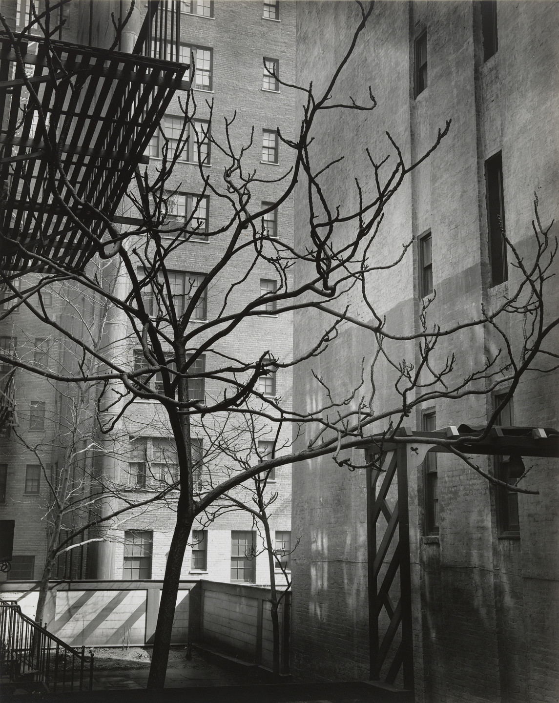 Brett Weston. New York. 1945