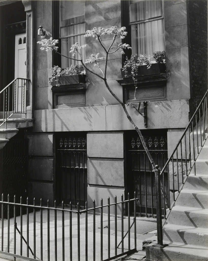 Brownstone on the Fifties