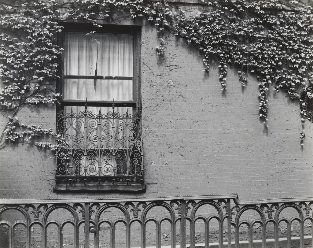 Washington Square, Brett Weston, 1945