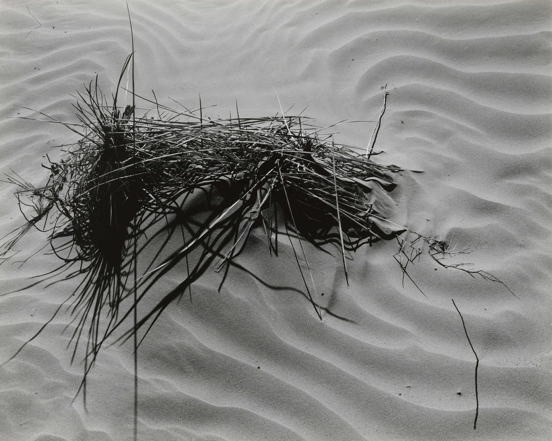 Brett Weston. White Sands. 1946
