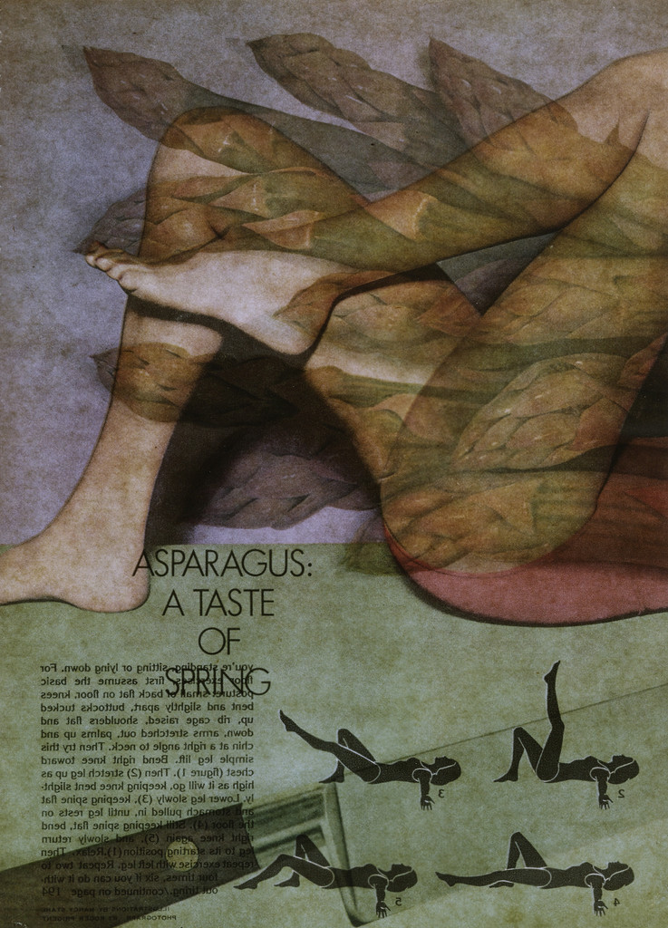 Recto/Verso #3