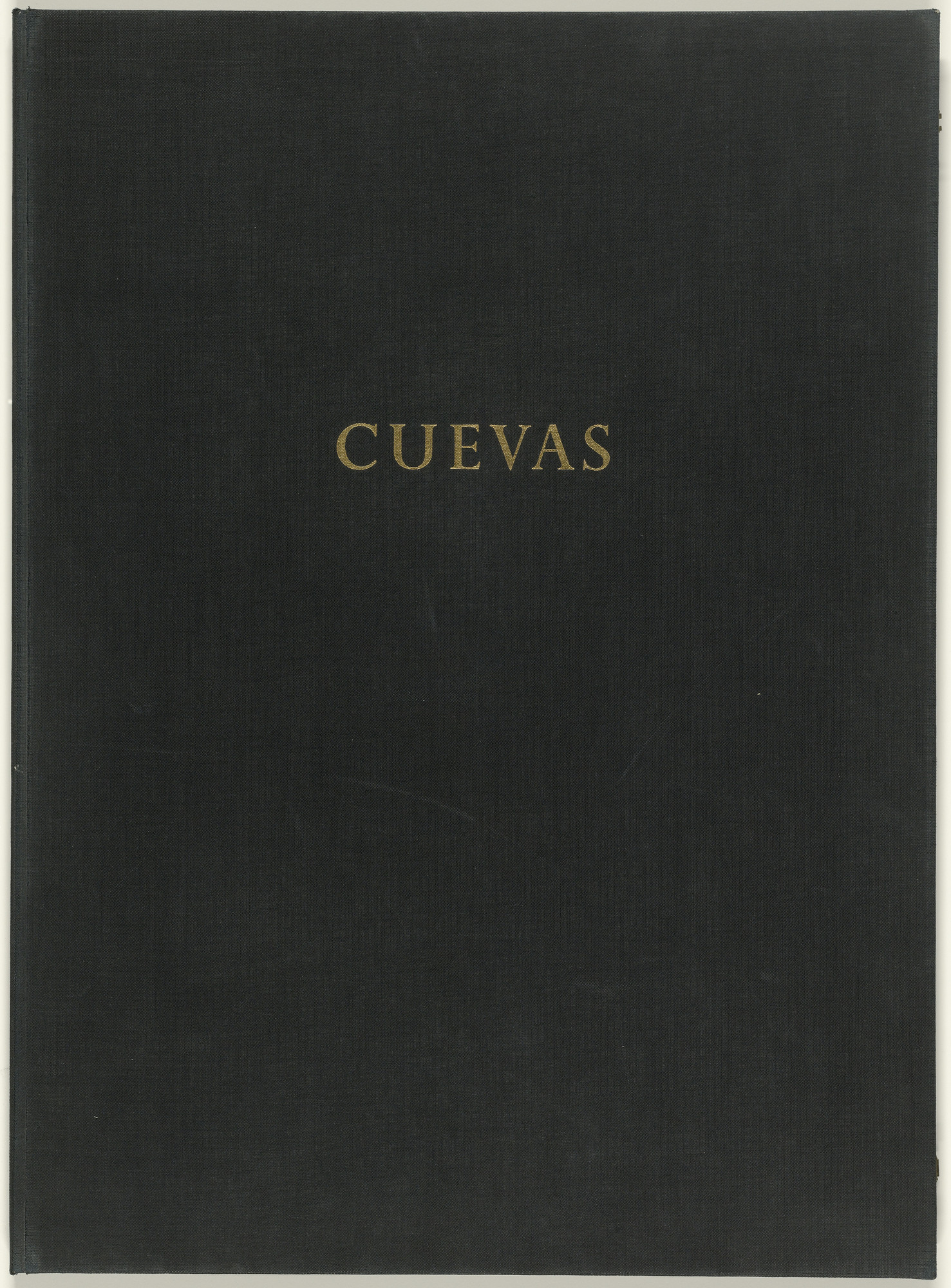José Luis Cuevas. Recollections of Childhood