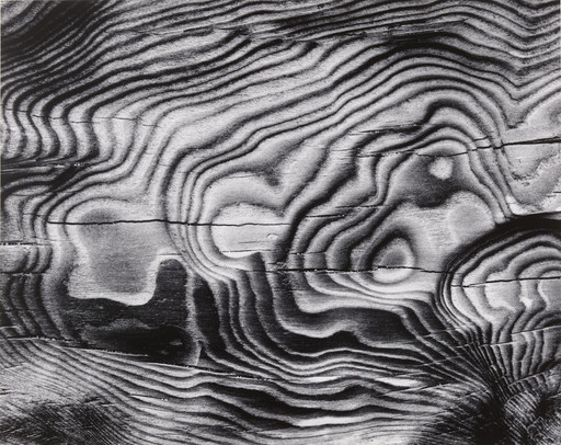 Burned Driftwood, Mendocino
