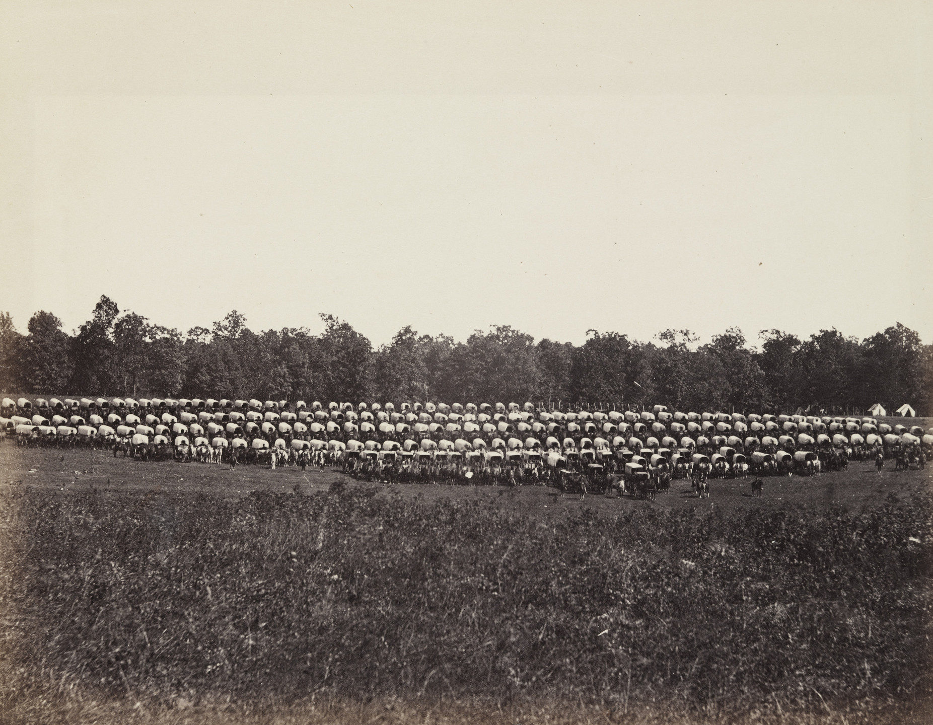 Alexander Gardner, Timothy O&#39;Sullivan. Wagon Park, Brandy Station, Virginia. May, 1863