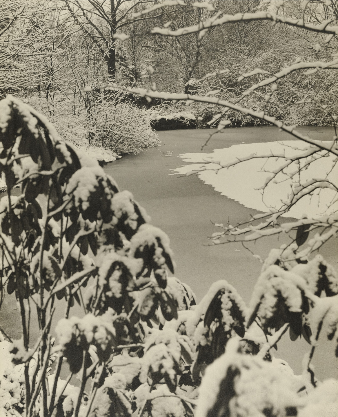 Margaret Bourke-White. Garden of Mrs. F. F. Prentis, Cleveland. 1920s