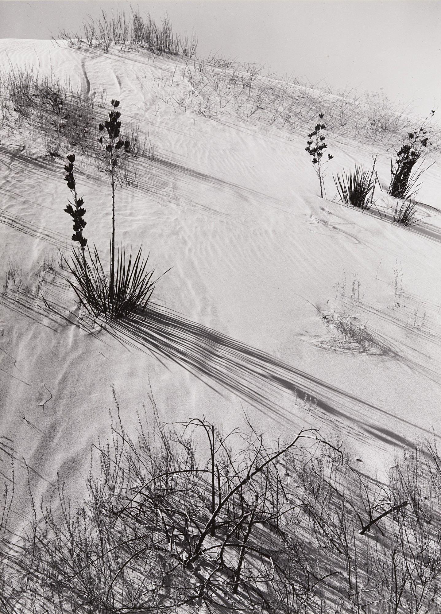 ステファン・マーチンエアー、【White Sand Beech】 Ansel Adams. Dunes, Hazy Sun, White Sands National Monument, New