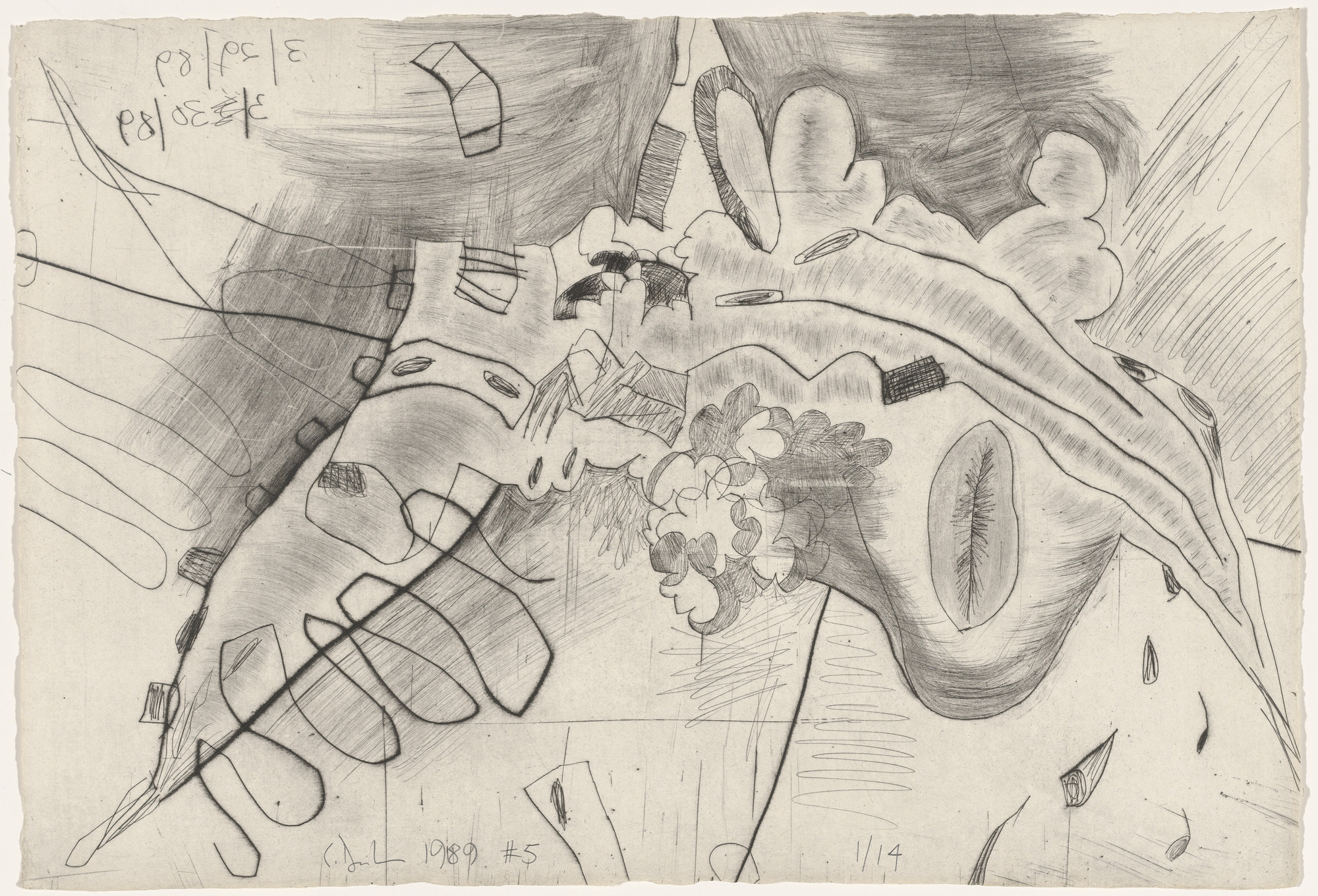 Carroll Dunham. Untitled from Shadows. 1989