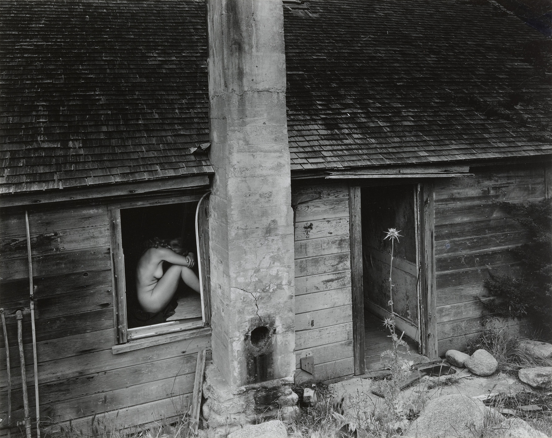 Wynn Bullock. Woman and Thistle. 1953