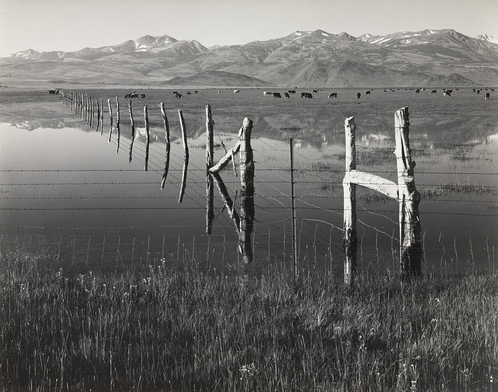 Bridgeport Valley, Flooded Meadow