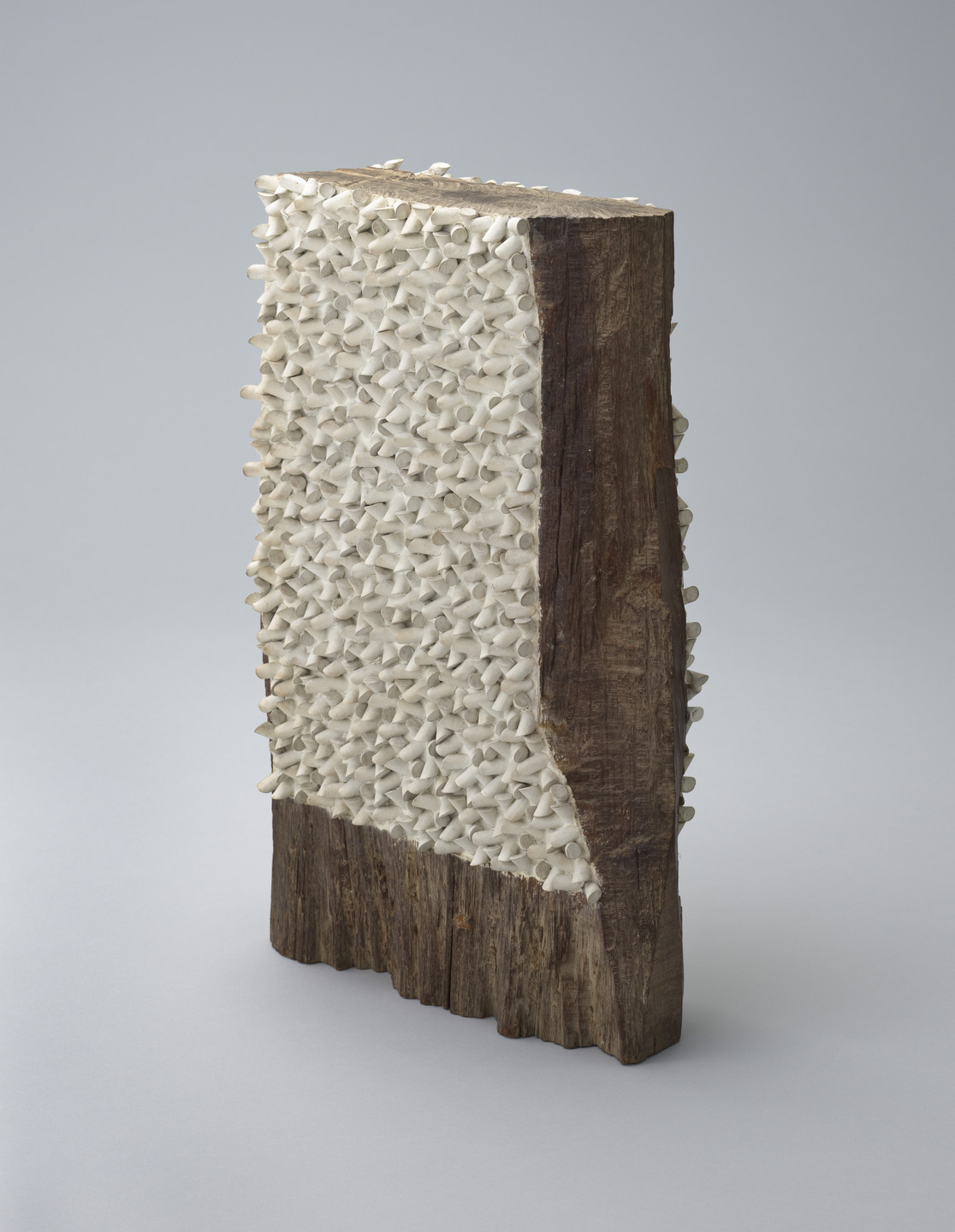 A rectangular wooden block with a rough, dark brown texture is partially covered in a layer of small, white cone-like objects. The background is a plain, light gray surface. This is an AI generated description. To give feedback, email ai@moma.org.