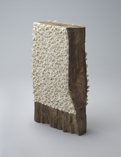 Sérgio Camargo. Edge. 1962