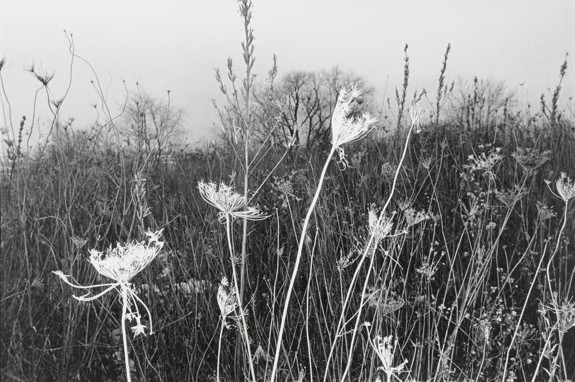 Mark Cohen. Untitled (Ashley, Pennsylvania). January 1973