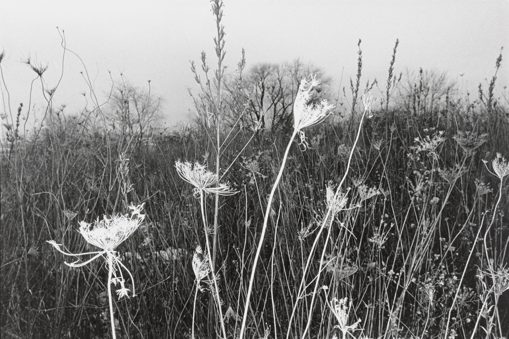 Untitled (Ashley, Pennsylvania)