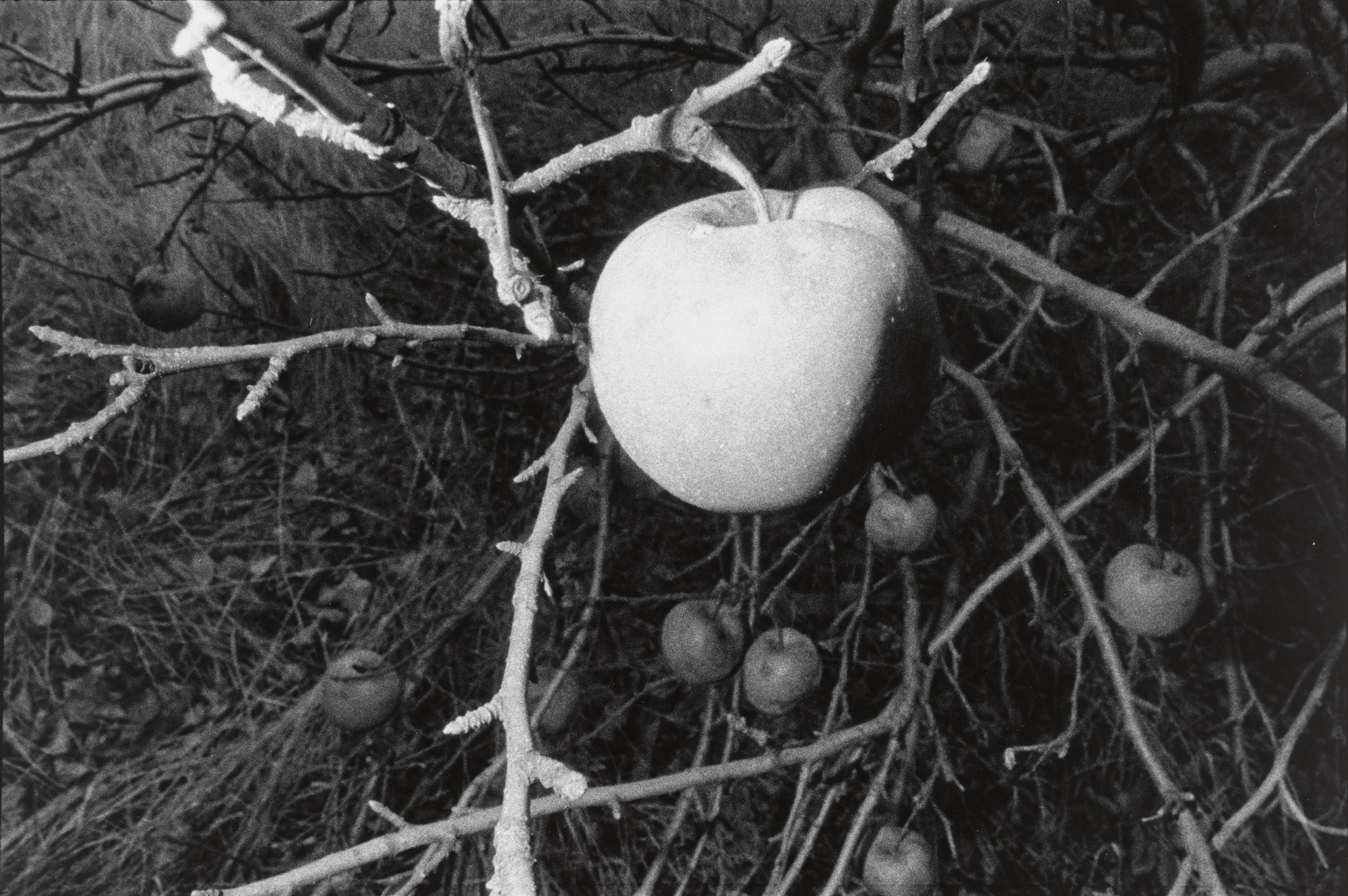 Mark Cohen. Untitled (Larksville, Pennsylvania). November 1972