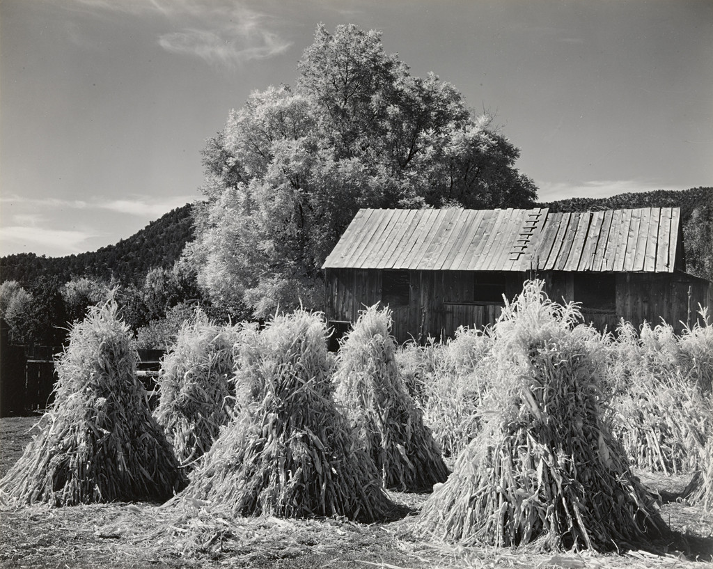 Farm, Autumn, Southern Utah