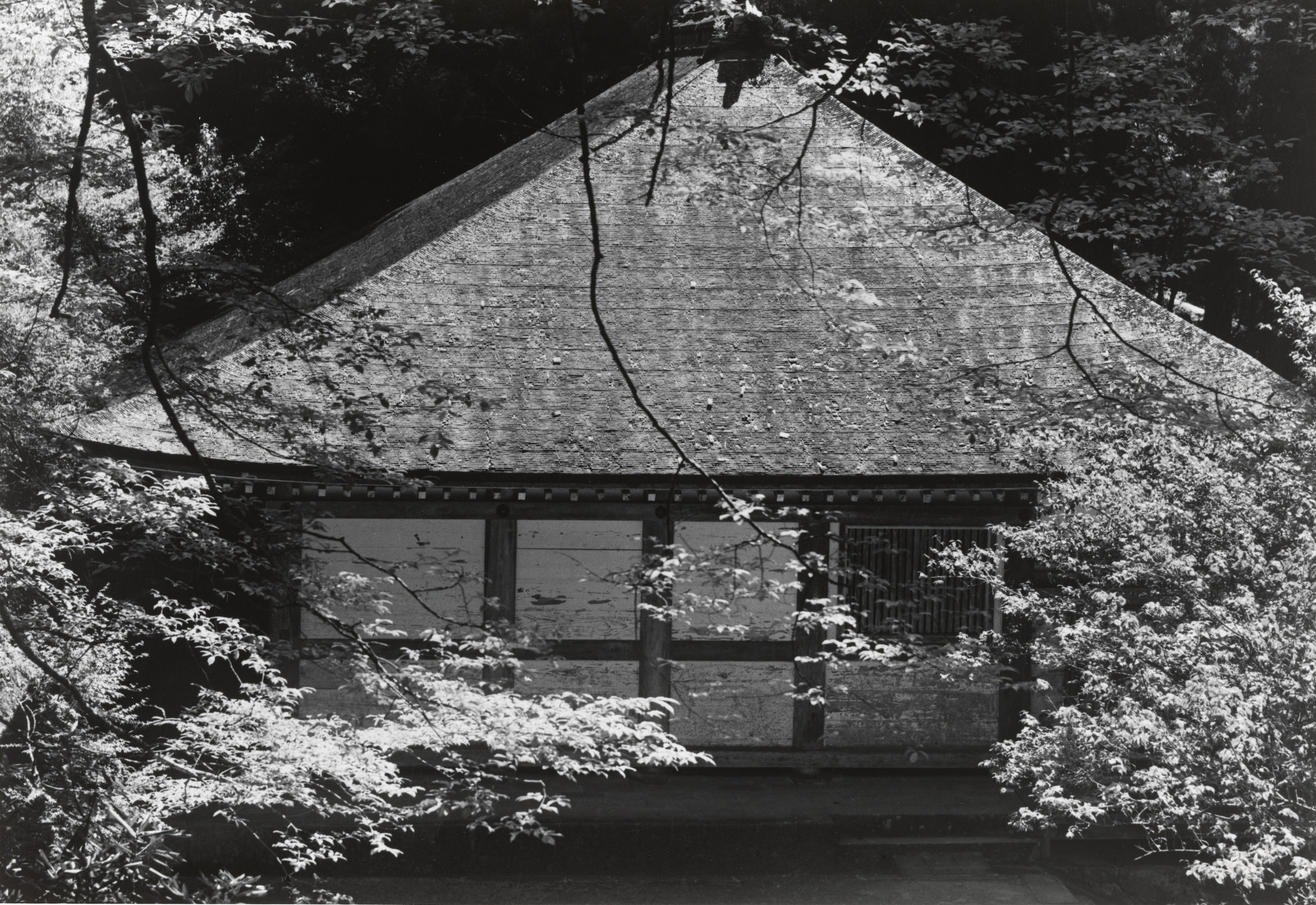 Ken Domon. West Elevation of the Main Hall of the Muro-ji, The Eight Century Japanese Temple (Autumn). 1940-54