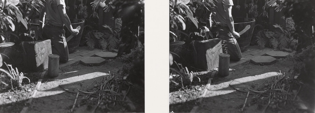 How to Grasp/Not to Grasp Poisonous Snakes, Robert Cumming, 1975