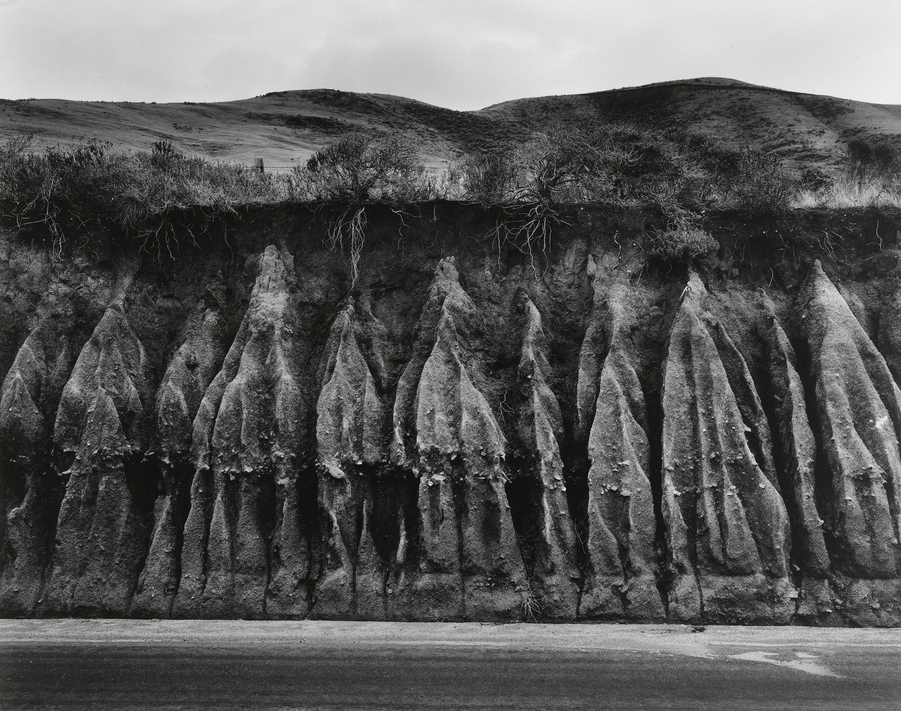 Wynn Bullock. Erosion. 1959