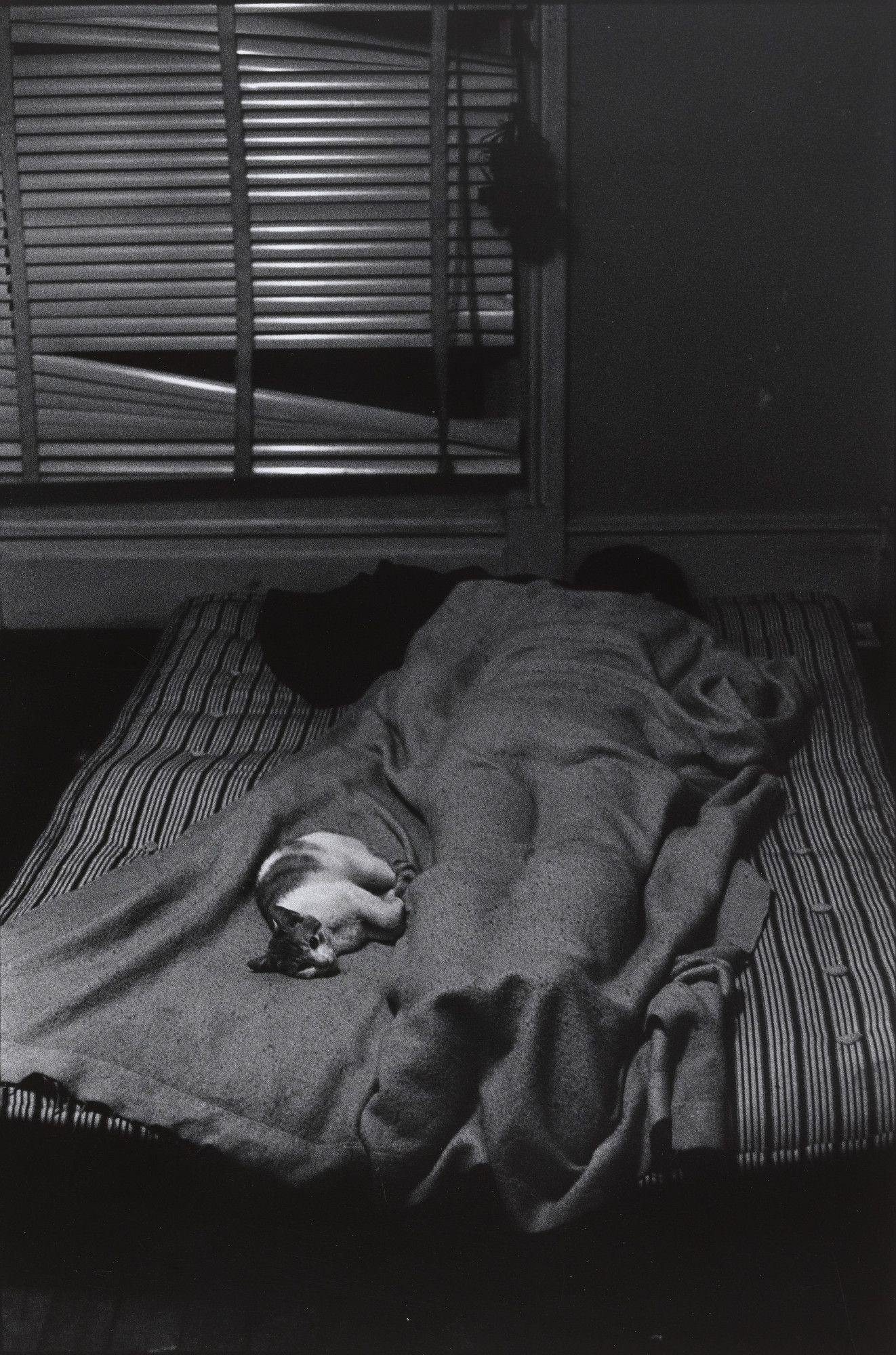 William Gedney. San Francisco