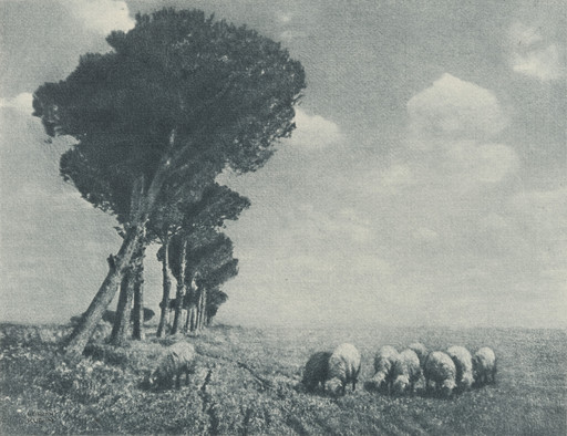 Campagnadi Roma