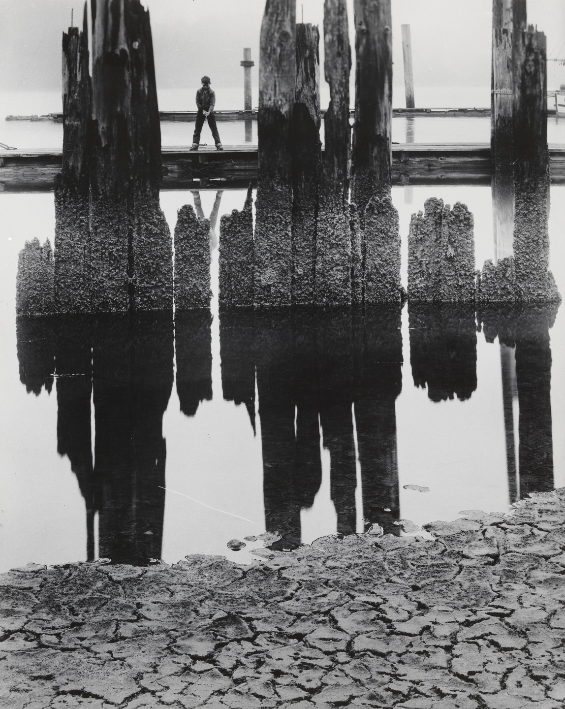 Wynn Bullock. Boy Fishing. 1959