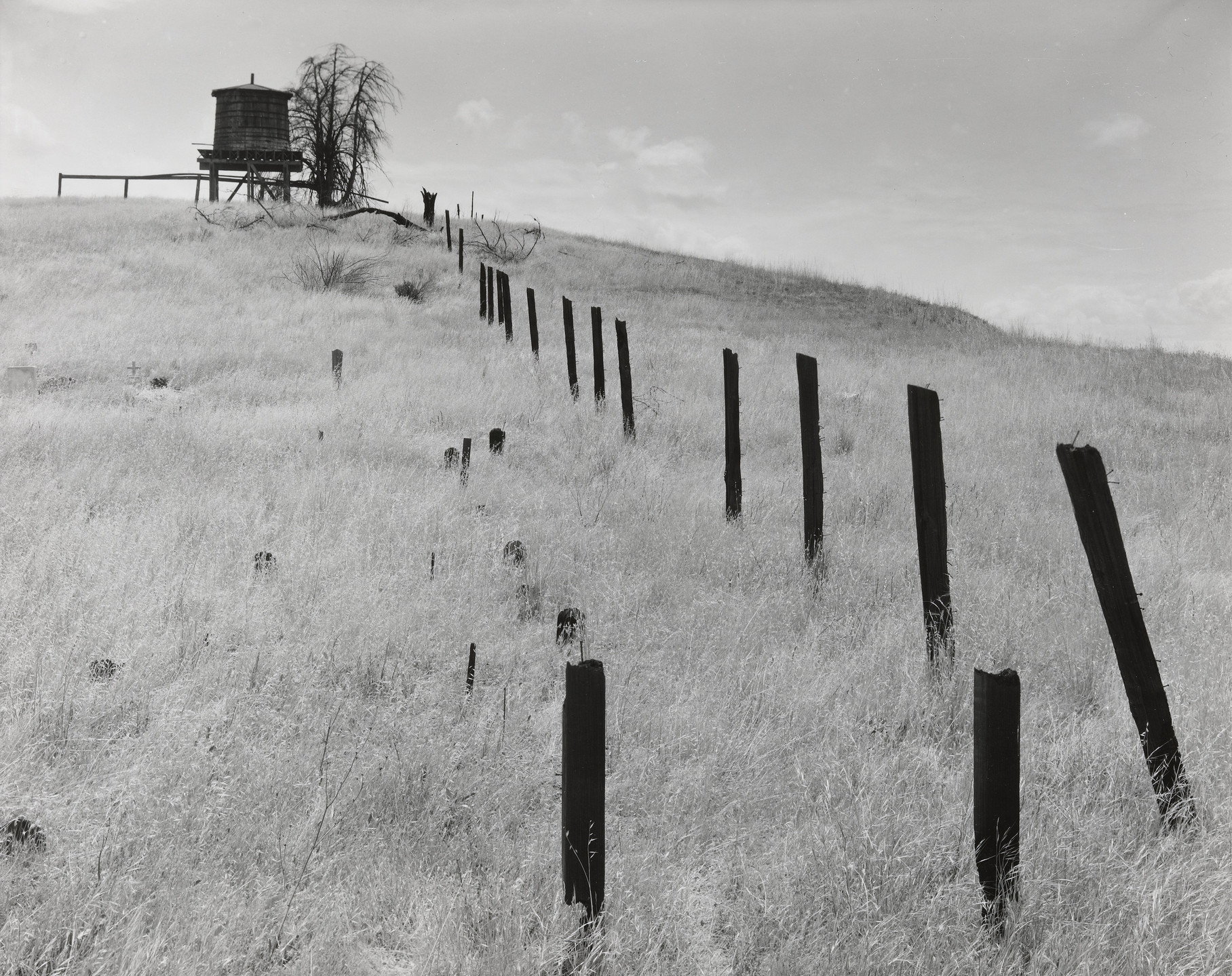Wynn Bullock. Graveyard, Route 101. 1954