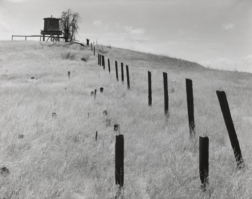 Graveyard, Route 101