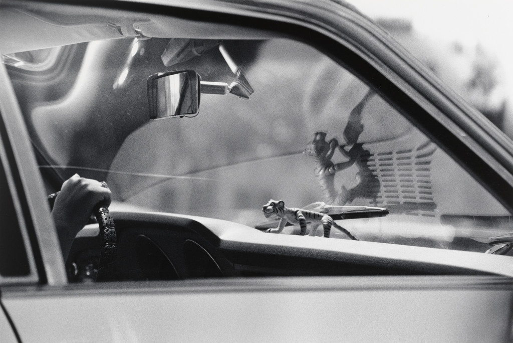 Windshield with Tiger Mascot