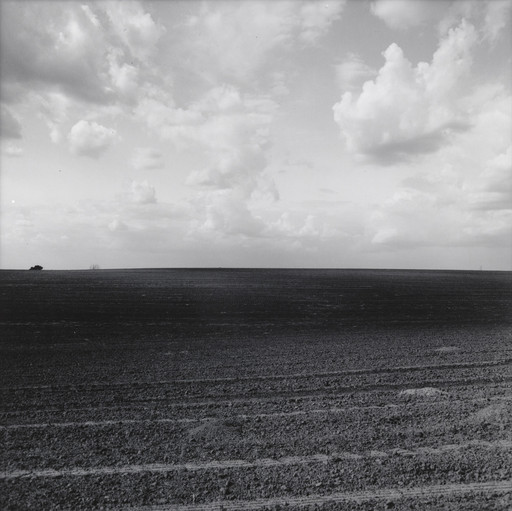 Landscape-near Red Wing, Minneapolis