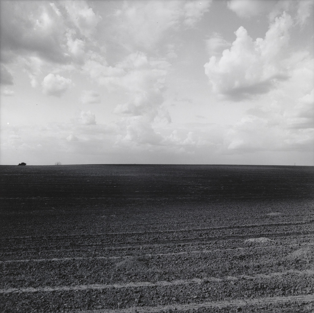 Landscape-near Red Wing, Minneapolis