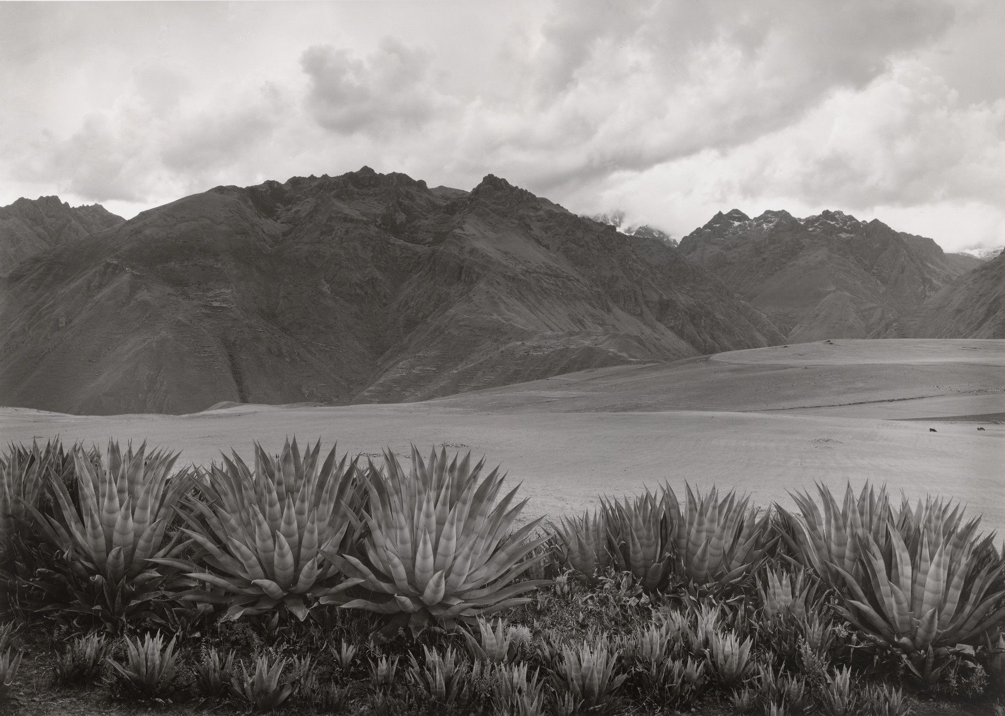 Edward Ranney. Mars Plain, Peru. 1975