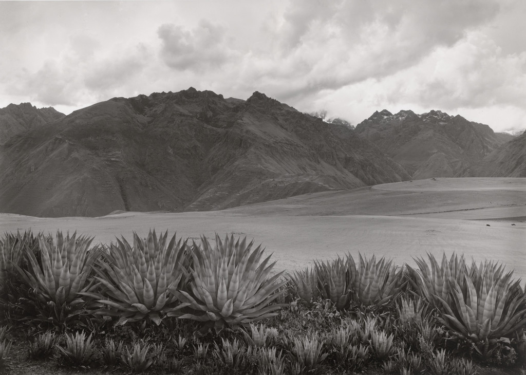 Mars Plain, Peru