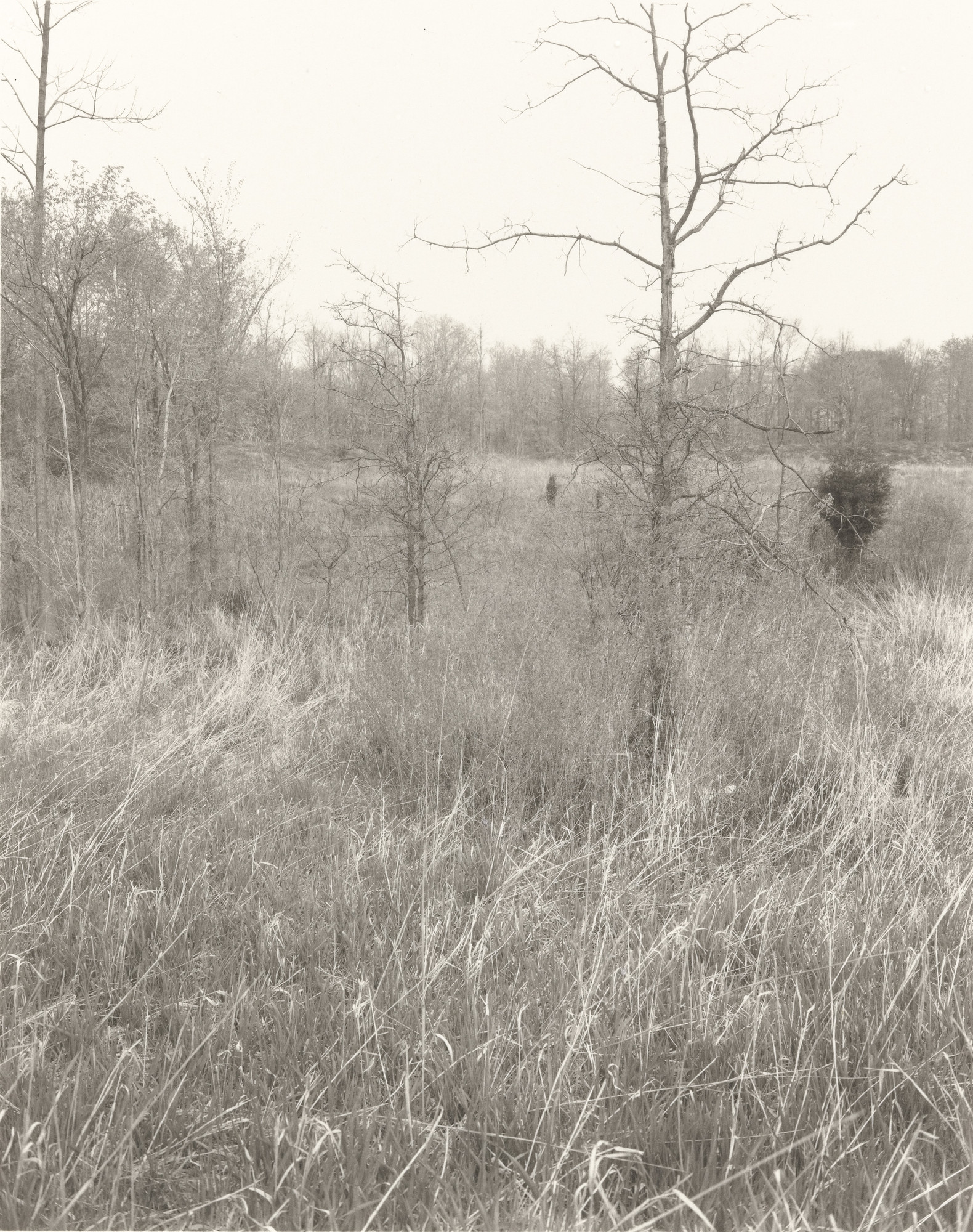 Jan Groover. Plain Fields