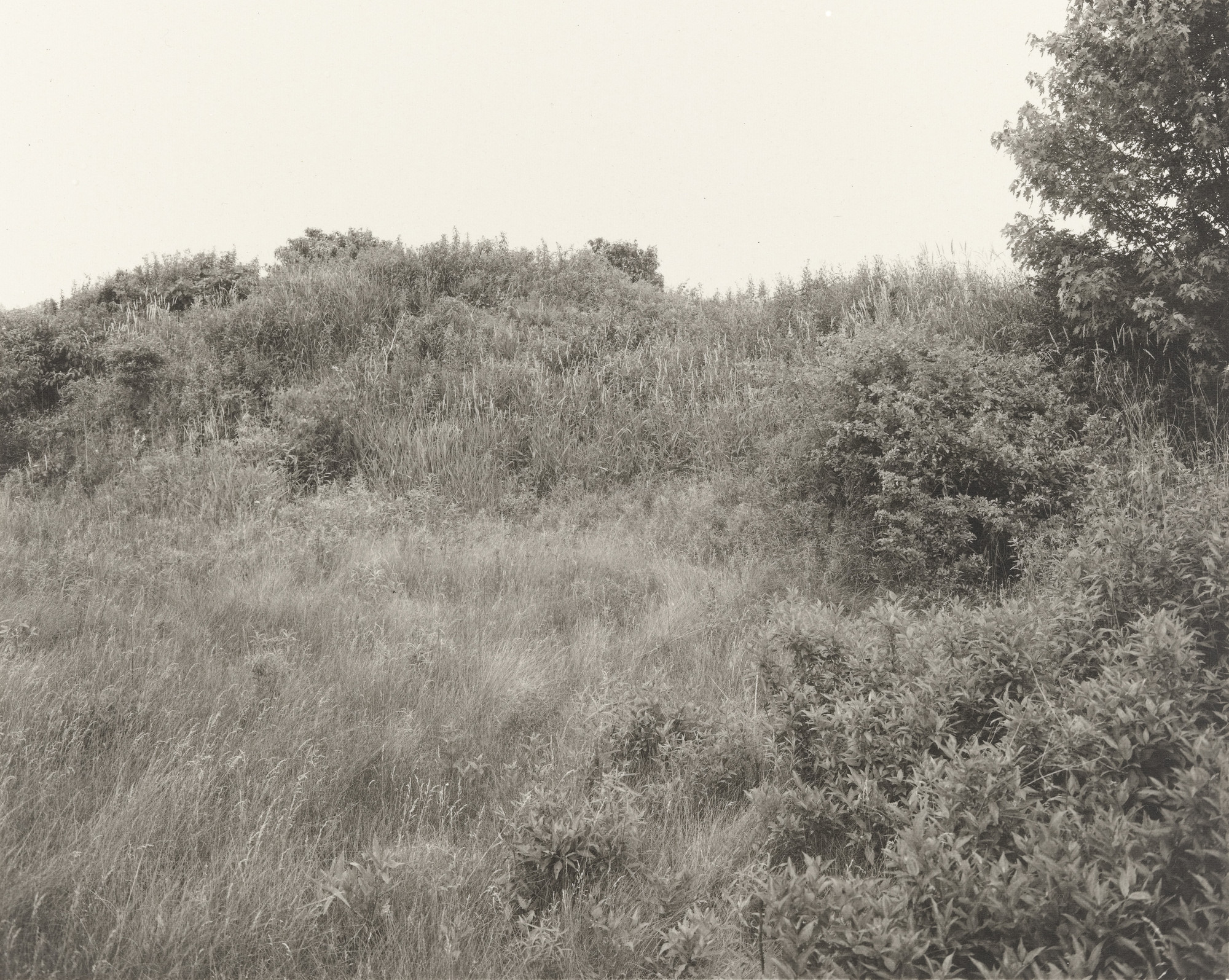 Jan Groover. Plain Fields