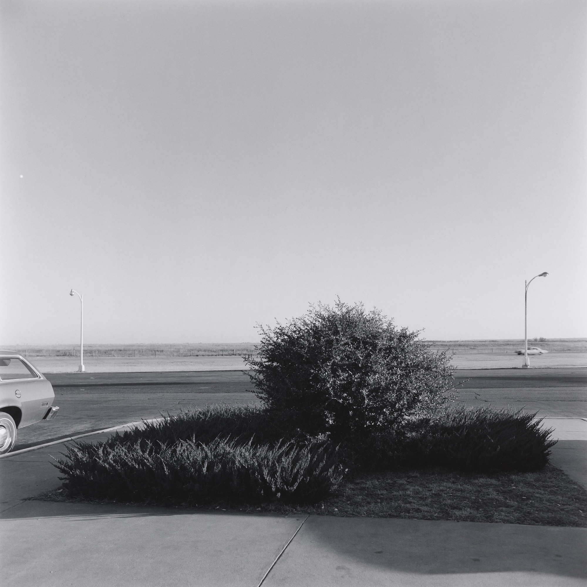 Frank Gohlke. Bush and Landscape, near Chickasha, Oklahoma