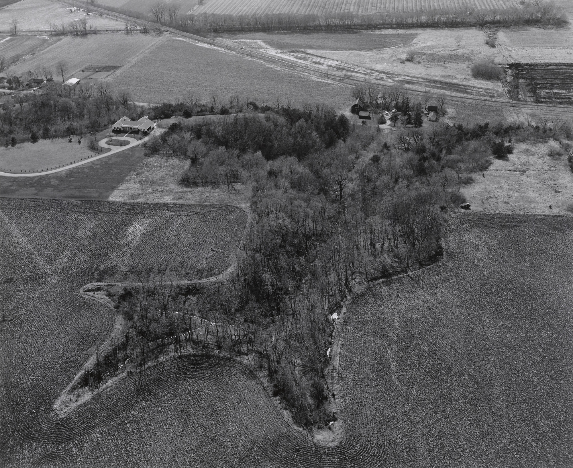 Frank Gohlke. Aerial View: Woods, Fields, Houses - Blue Earth County, Minnesota