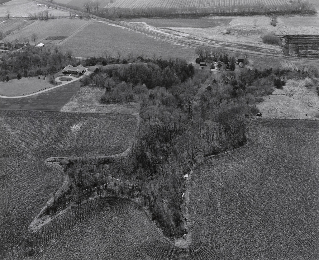 Aerial View: Woods, Fields, Houses - Blue Earth County, Minnesota