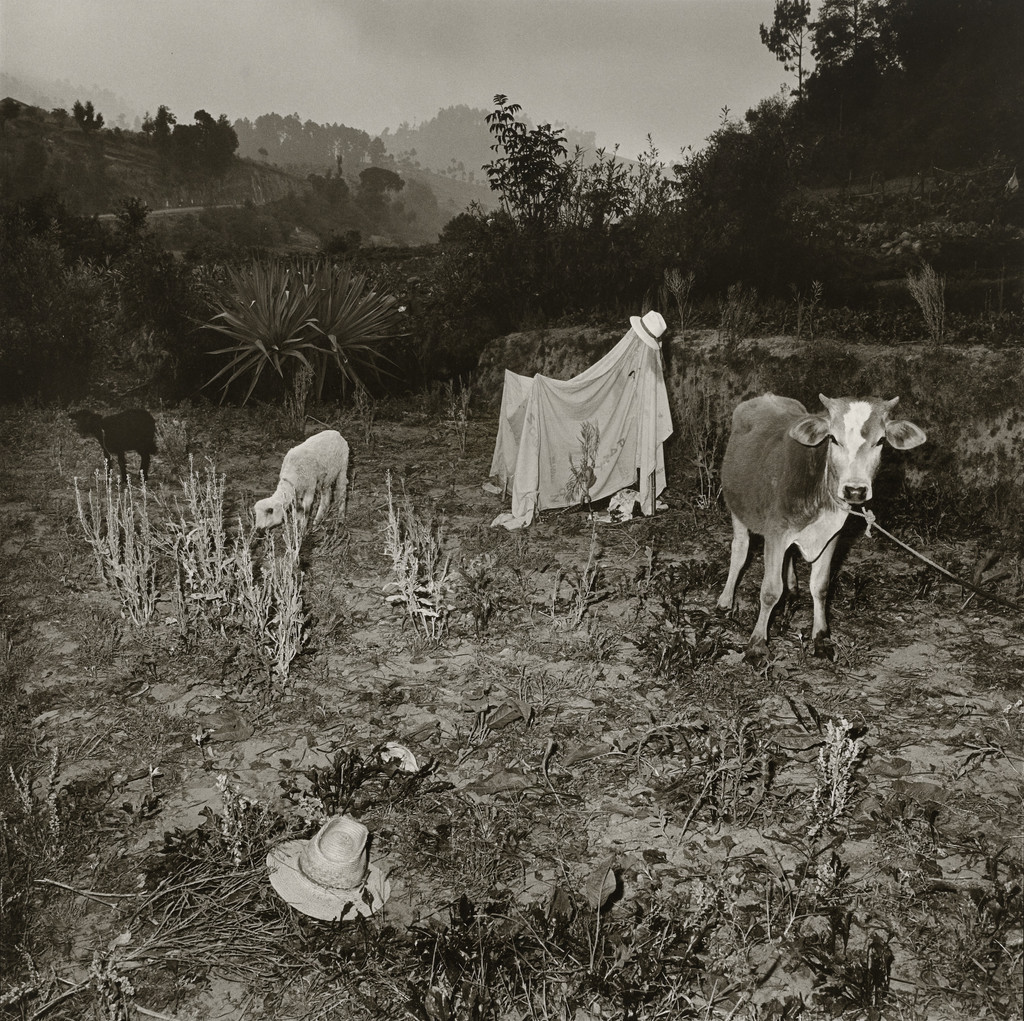 Untitled, Guatemala