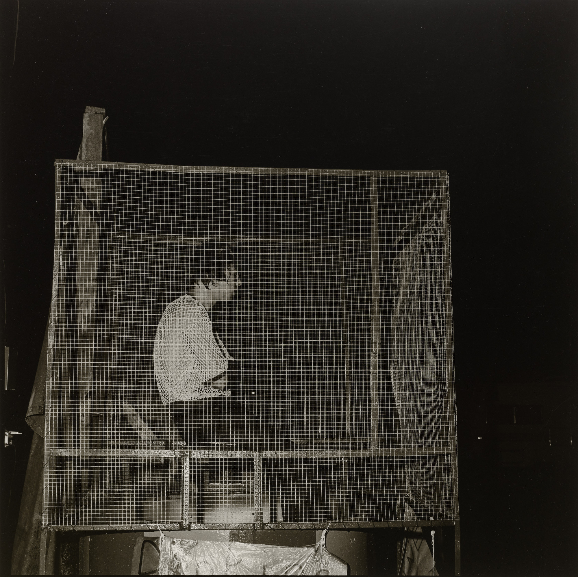 Rosalind Fox Solomon. Blue Ridge, Georgia