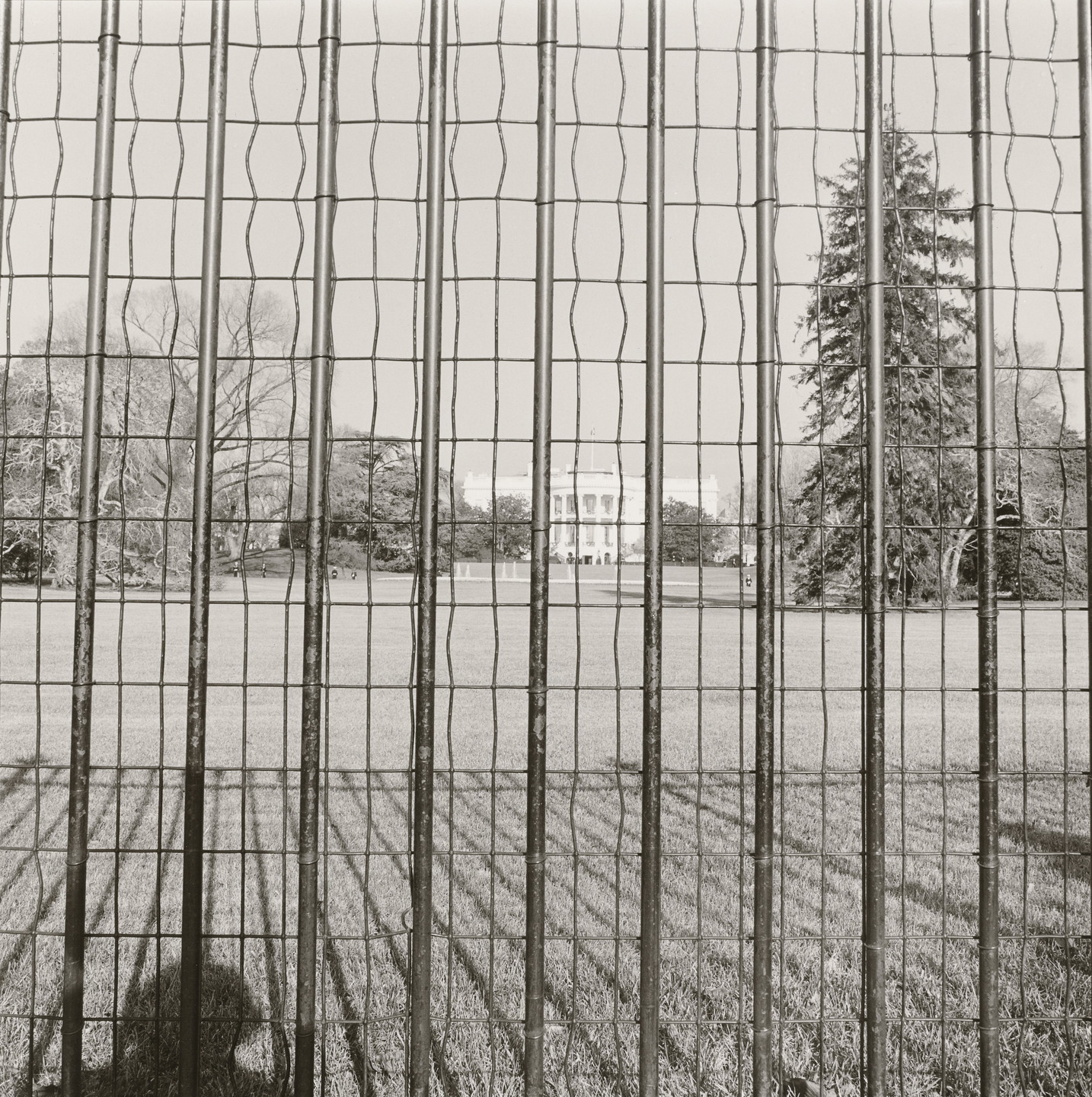 Rosalind Fox Solomon. Outside the Fence, Washington, D.C.. 1979