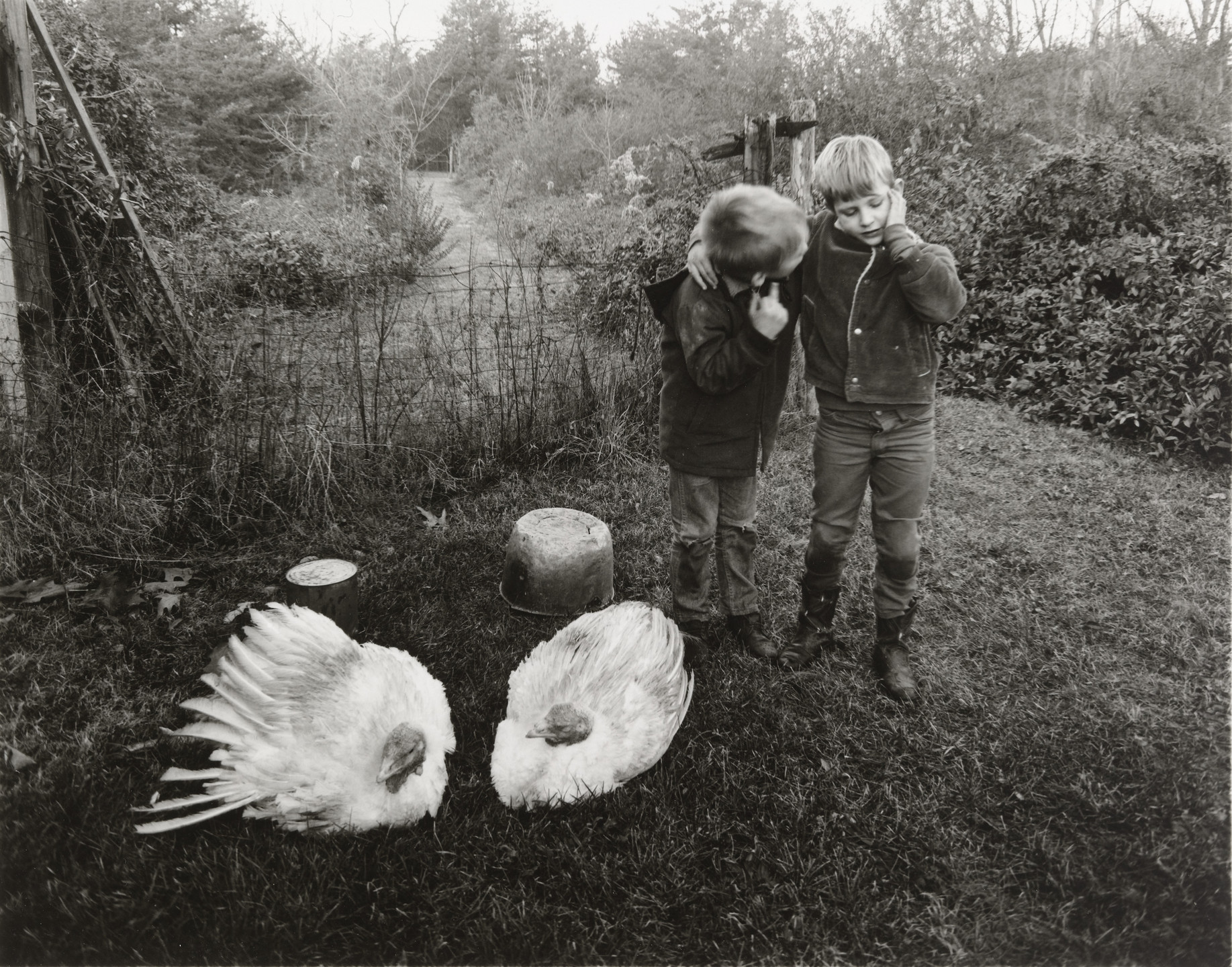 Emmet Gowin. Barry and Dwayne, Danville. 1969