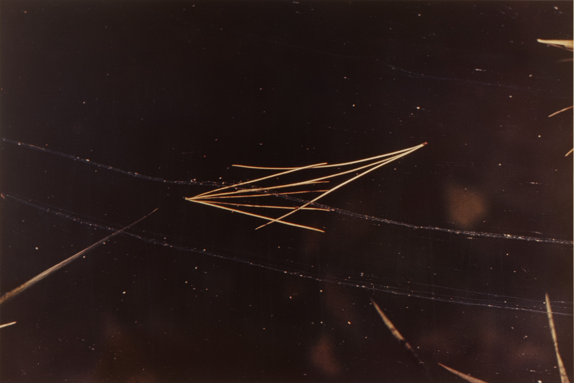 Ernst Haas. Untitled