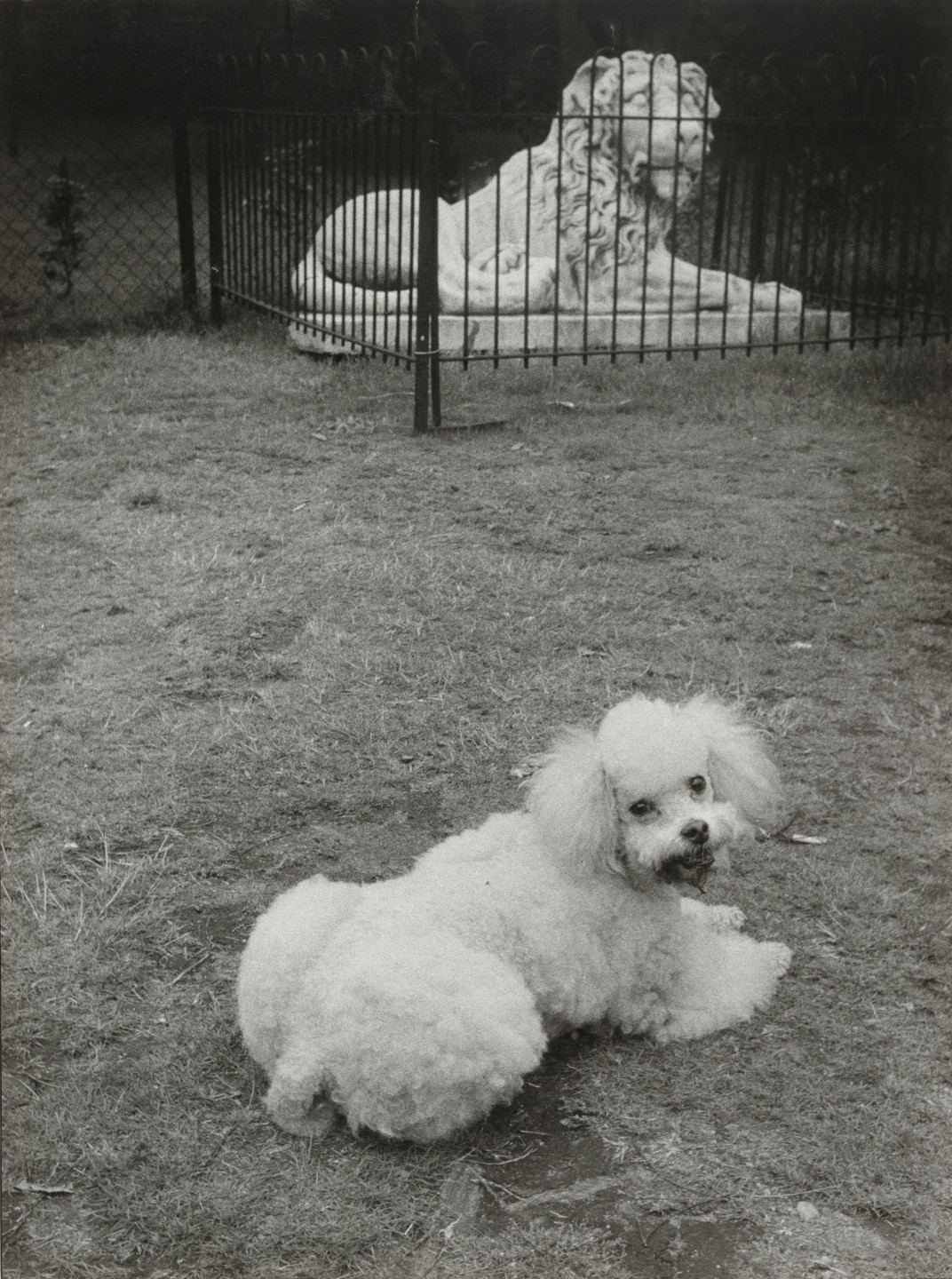 Hans Hammarskiold. Park by Chiswick House, London. 1938-60
